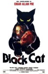 2-15 Black cat gatto&nbsp;nero
