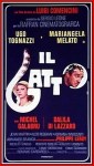 2-16 Il gatto