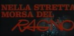 4-8 Nella stretta morsa del ragno