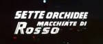 5-16 Sette orchidee macchiate di&nbsp;rosso
