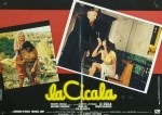 3-20 La cicala