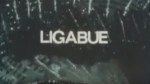4-6 Ligabue