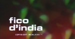 5-24 Fico d’India