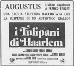 5-5 I tulipani di&nbsp;haarlem