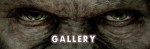Banner gallery