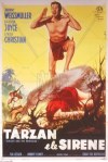 2-14 Tarzan e le&nbsp;sirene