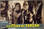 3-18 La fuga di&nbsp;Tarzan