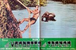3-19 La vendetta di&nbsp;tarzan