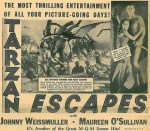 4-18 La fuga di&nbsp;tarzan