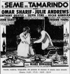 Il seme del&nbsp;tamarindo