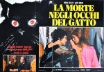 3-11 La morte negli occhi del&nbsp;gatto