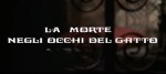 5-11 La morte negli occhi del&nbsp;gatto