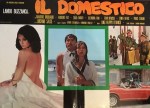 5-25 Il domestico