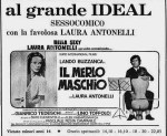 6-16 Il merlo&nbsp;maschio