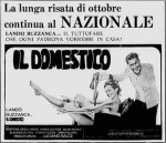6-25 Il domestico