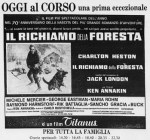 4-10 Il richiamo della&nbsp;foresta