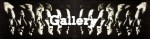 Banner gallery