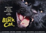 3-4 Black Cat (Gatto&nbsp;nero)