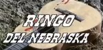 5-12 Ringo del&nbsp;Nebraska