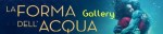 La forma dell’acqua banner&nbsp;gallery
